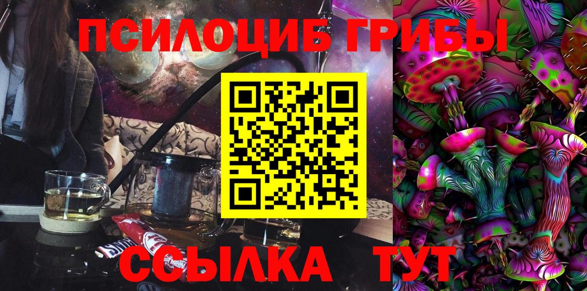 Псилоцибиновые грибы GOLDEN TEACHER Воронеж