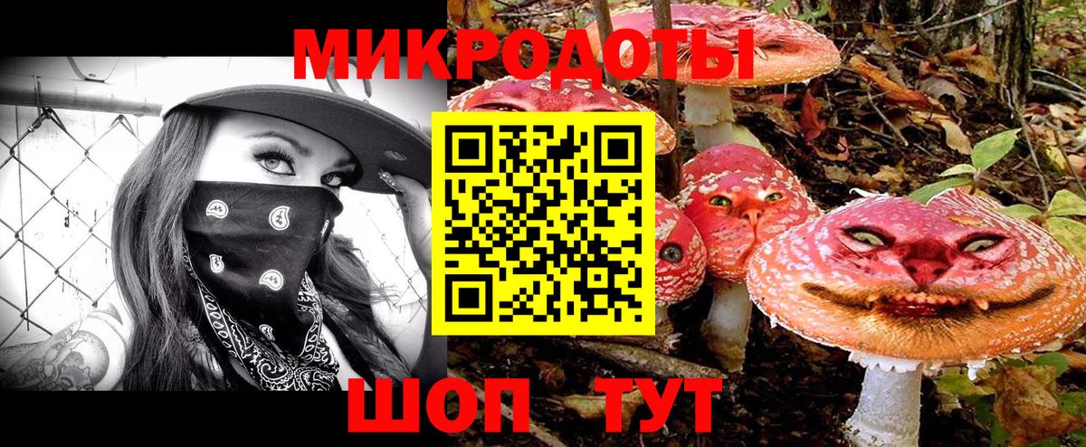 купить закладку  Вход с VPN  Воронеж  Галлюциногенные грибы мухоморы 